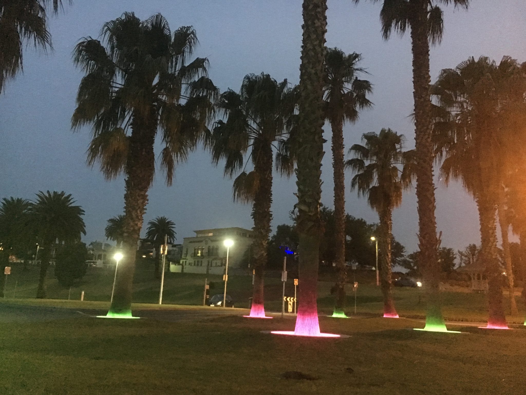 Geelong Water Front Trees