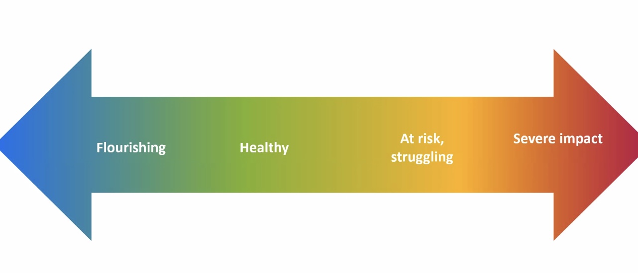 Mental Health Continuum