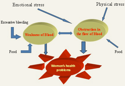 Womens health diagram