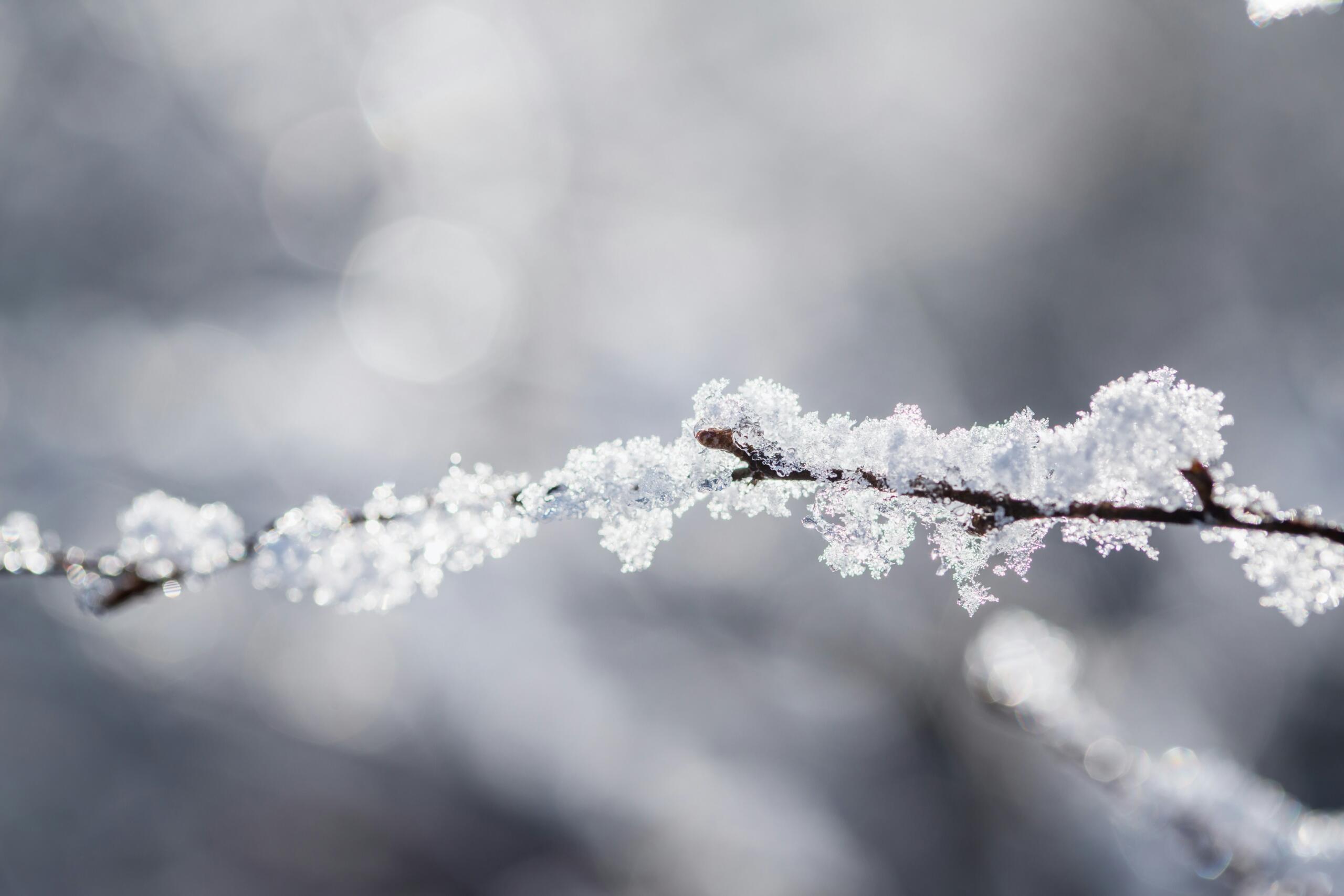 Patrycja-jadach-winter-frost-unsplash