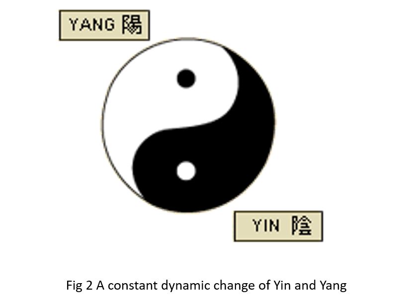 Yin And Yang Dynamic Changes